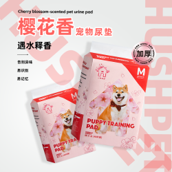 双十一返场特惠 加厚吸水舒缓尿片诱导锁水