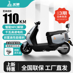 五羊电动摩托车智能NFC大功率电动车俩轮代步电摩男女时尚电动踏板车 星球灰/千瓦高功率电机/前碟后鼓 1.0需自配电池/充电器/无