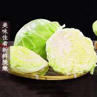 薏品甄鲜 农家自种源头直发 卷心菜