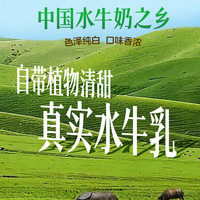  东北大板 水牛乳