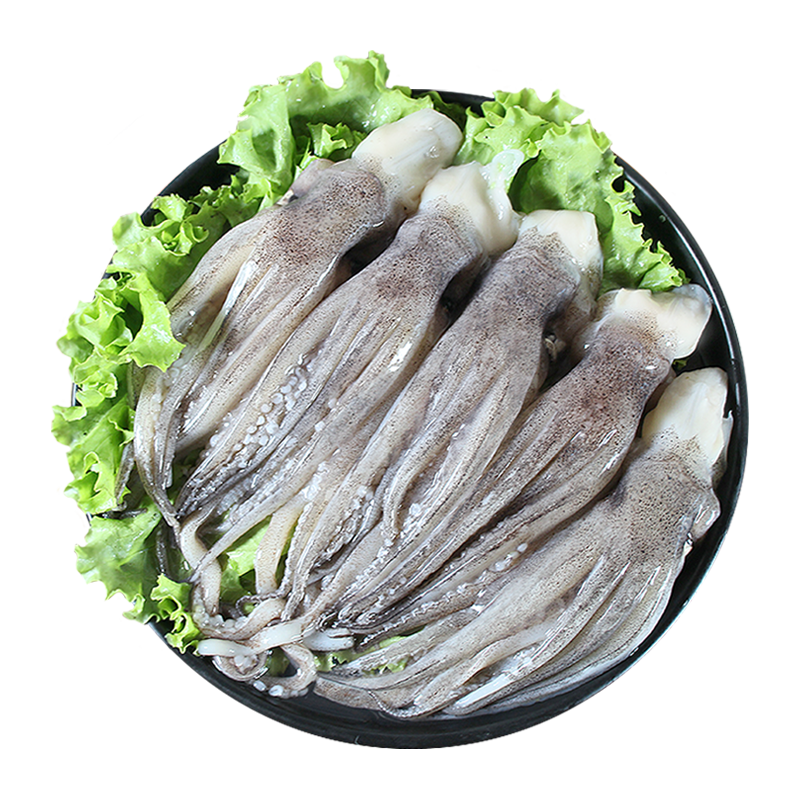 CHUXIAN 初鲜 冷冻鱿鱼须 400g