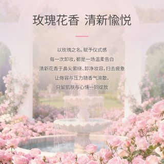  DASIQUE/代曦可 深层清洁 卸妆水