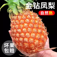鲜友季 金钻凤梨 净重4.5-5斤（单果2斤起）