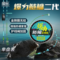 詹品 爆力鲢鳙无结无损成品主线组黑坑湖库大头花鲢白鲢鳙
