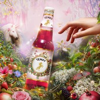TEMPT/诱惑 果酒