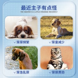 SentrX Catalysis凯塔斯派实净犬猫泌尿道养护狗狗预防辅助排尿结石结晶