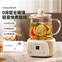 HYUNDAI 养生壶办公室宿舍小型玻璃养生杯家用保温全自动煮茶器