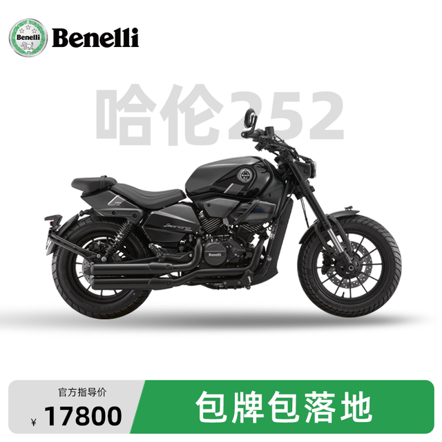 贝纳利 Benelli 贝纳利 哈伦252 美式巡航 摩托车
