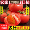 京喜 西红柿 国产水果番茄 1斤