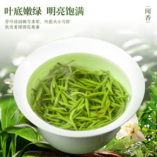  如意大师 信阳毛尖绿茶