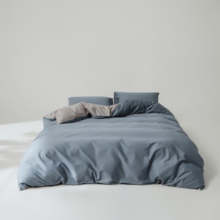 AIDLI 100支全棉贡缎新疆长绒棉纯棉四件套 200*230cm