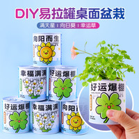 touch fish 罐装小盆栽桌面种植易拉罐头植物小学生科学实验礼物奖品 好运爆棚（幸运草）