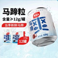 移动端：杨协成 马蹄爽 荸荠饮料 300ml*24听