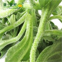  老一生鲜 新鲜 冰草 250g