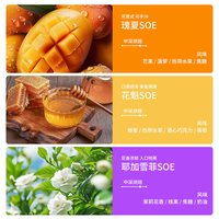 鹿家嘴 埃塞俄比亚瑰夏精品手冲咖啡豆 250g 浅度烘焙