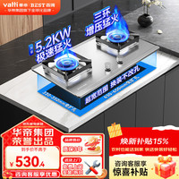 百得 华帝出品燃气灶 大火力全进风 台式嵌入式不锈钢两用双灶 QE103G天然气5.2KW 66%高热效率