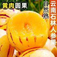 春福乐 新鲜时令 人参果
