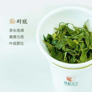  茶红天下 浓香耐泡 黄山毛峰绿茶