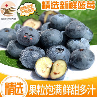 鲜姿 蓝莓国产新鲜丹东蓝莓新鲜采摘水果  净重100g*8盒18-20mm