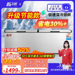北格 大冰柜商用全冷冻大型冷柜大容量单温双温2米冰箱 双开门300升 500升 700升以上