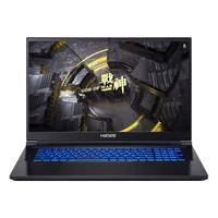 Hasee 神舟 战神 G10-DA9NT 十二代酷睿版 17.3英寸游戏本 黑色（酷睿i9-12900H、RTX 3070Ti 8G、16GB、1TB SSD、2.5K、165Hz）