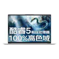 ThinkPad/思考本 高端性能 笔记本电脑 背光键盘 酷睿5 220H 集成显卡 1920*1200 银色 60Hz 16GB 1TB