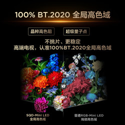TCL 75Q9M Pro SQD-Mini LED 75英寸 电视
