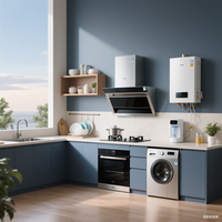 欢呼好太太 燃气灶 天然气3.8kw X01