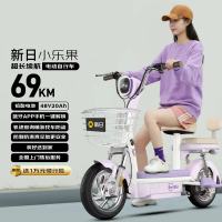 京东百亿补贴：新日 小乐果 电动自行车