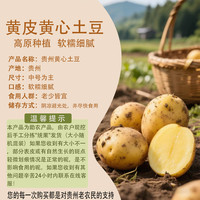 黔婆婆 新鲜黄皮土豆5斤箱装 （净重）