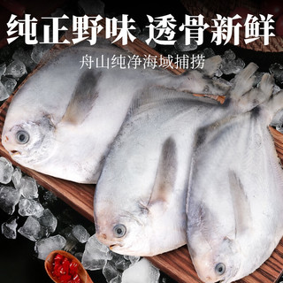  往牧 野生 银鲳鱼