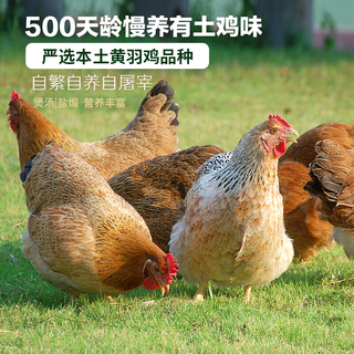  WENS/温氏 散养500天走地鸡 老母鸡块+鹿茸菌汤料包