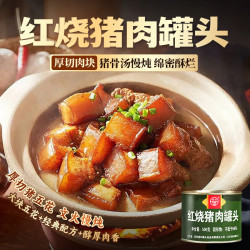 德和 红烧猪肉罐头500g*1罐 家常菜下饭菜熟食猪肉年货罐头 方便食品