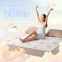环鼎 智能恒温电热毯双温双控