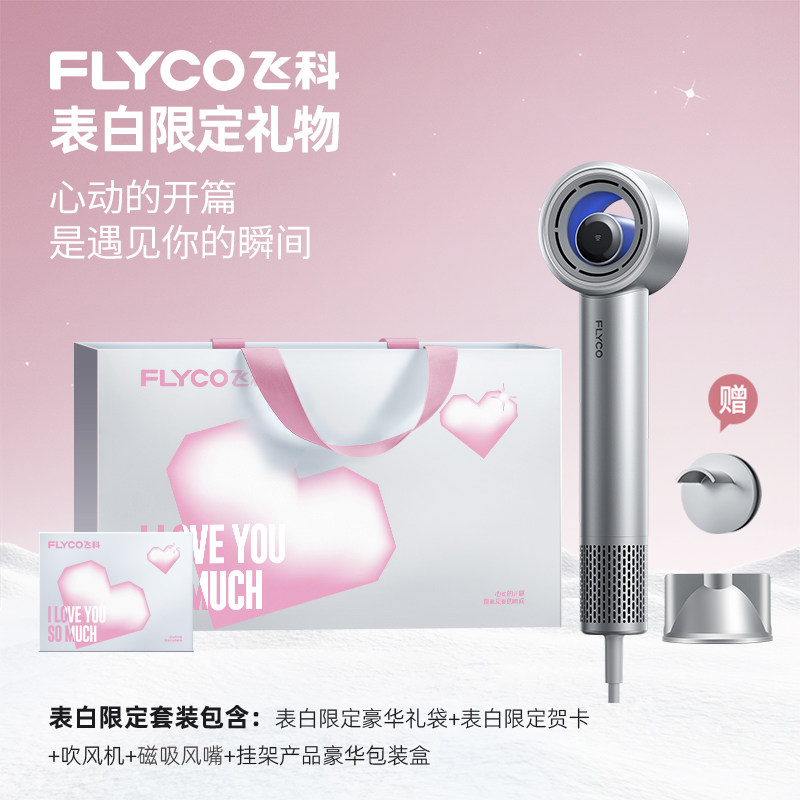  FLYCO/飞科 H6 负离子护发 电吹风