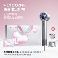 FLYCO/飞科 H6 负离子护发 电吹风