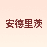 安德里茨