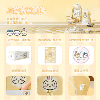  AutoFull/傲风 人体工学 电竞椅