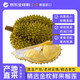 金枕16.79元/斤！值友专享：泰国进口金枕榴莲 净重8-10斤