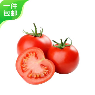 京鲜生 源头直发 铁皮西红柿  铁皮西红柿 4.5斤 山东铁皮西红柿 草莓番茄