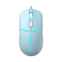 斗鱼（DOUYU.COM）DMG079 游戏鼠标 电竞鼠标 有线办公 吃鸡CF/CS/LOL 鼠标宏程 RGB光效 安静版 远山蓝