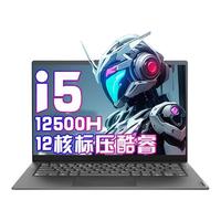 Lenovo/联想 高性能 笔记本电脑 无机械硬盘 集成显卡 1920*1080 intel i5 灰色 512GB 60Hz 16GB