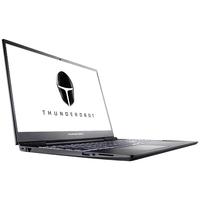 ThundeRobot 雷神 911 Air 星战三代 15.6英寸 游戏本 黑色(酷睿i7-10750H、GTX 1650Ti 4G、8GB、256GB SSD+1TB HDD、1080P、IPS、60Hz)