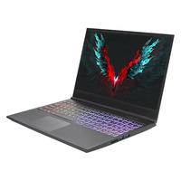 Shinelon 炫龙 T3Ti 15.6英寸 游戏本 黑色(酷睿i7-9750H、GTX 1660Ti 6G、16GB、512GB SSD、1080P、IPS）