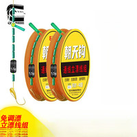  DiaoLongWang/钓龙王 手工调好漂 朝天钩线组+立漂+铜头钩+金海夕