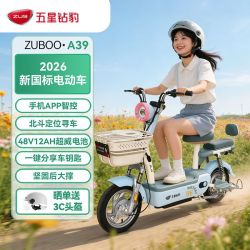 五星钻豹 A39 48V20Ah电动车