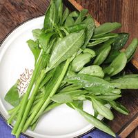 惠和蔬缘 新鲜 人参叶