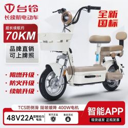 台铃 新国标电动自行车 48V22A