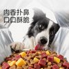 LILANG 增肌壮骨 狗粮