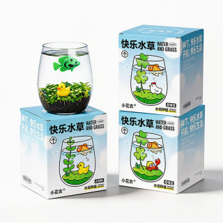小花农 水培快乐水草种植杯 小对叶(小鱼+小黄鸭)